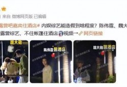 陈伟霆内娱爆料视频大全,揭秘娱乐圈幕后真相