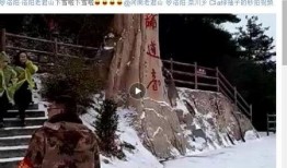 昆明爆料下雪事件真相视频,视频还原事件始末