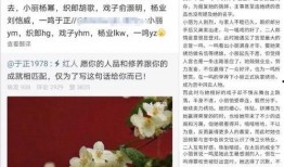 死丫头最新爆料,揭秘娱乐圈惊人内幕