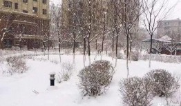 昆明爆料下雪事件真相视频,视频还原事件始末