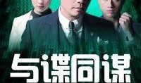 与敌同谋在线观看,在线观看背后的悬疑与阴谋
