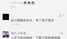 熊猫明星爆料视频
