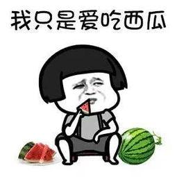 娱乐圈吃瓜的梗有哪些图片