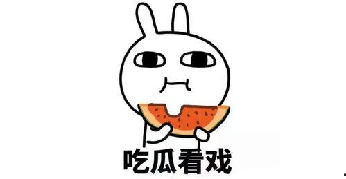 娱乐吃瓜酱简介怎么写的,带你领略娱乐圈幕后风云